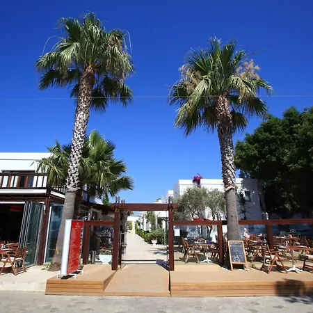 מלון דירות Mer-can Story