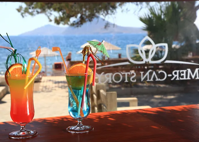 Apart-hotel Mer-can Story 4*