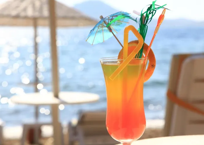 Mer-can Story 4* 얄리카베크